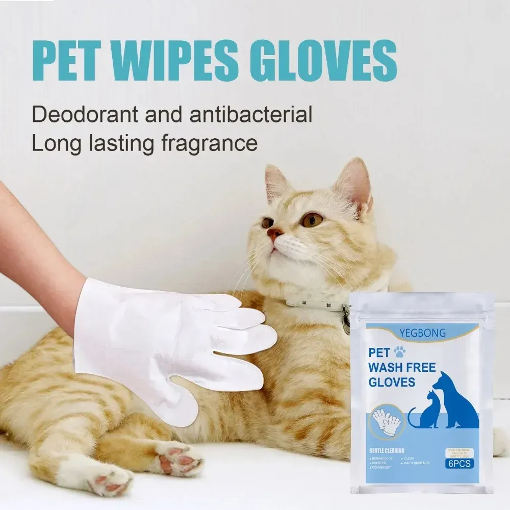 Перчатки 6pcs PET одноразовые чистящие перчатки промывают кошки собаки спа -палаты по материалам.
