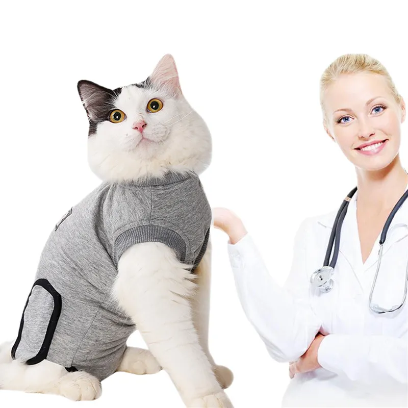 Vêtements Vêtements médicaux Coton Pet Shirt Cat Vêtements Pet Cat Stérilisation Vêtements de sevrage Antibite pour l'opération de chat Récupération