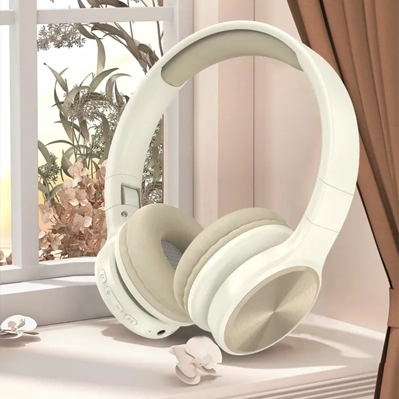 Écouteurs sans fil Bluetooth Headphone Computer Gaming Headset Headsethead Mousthed Ecoutmuffs