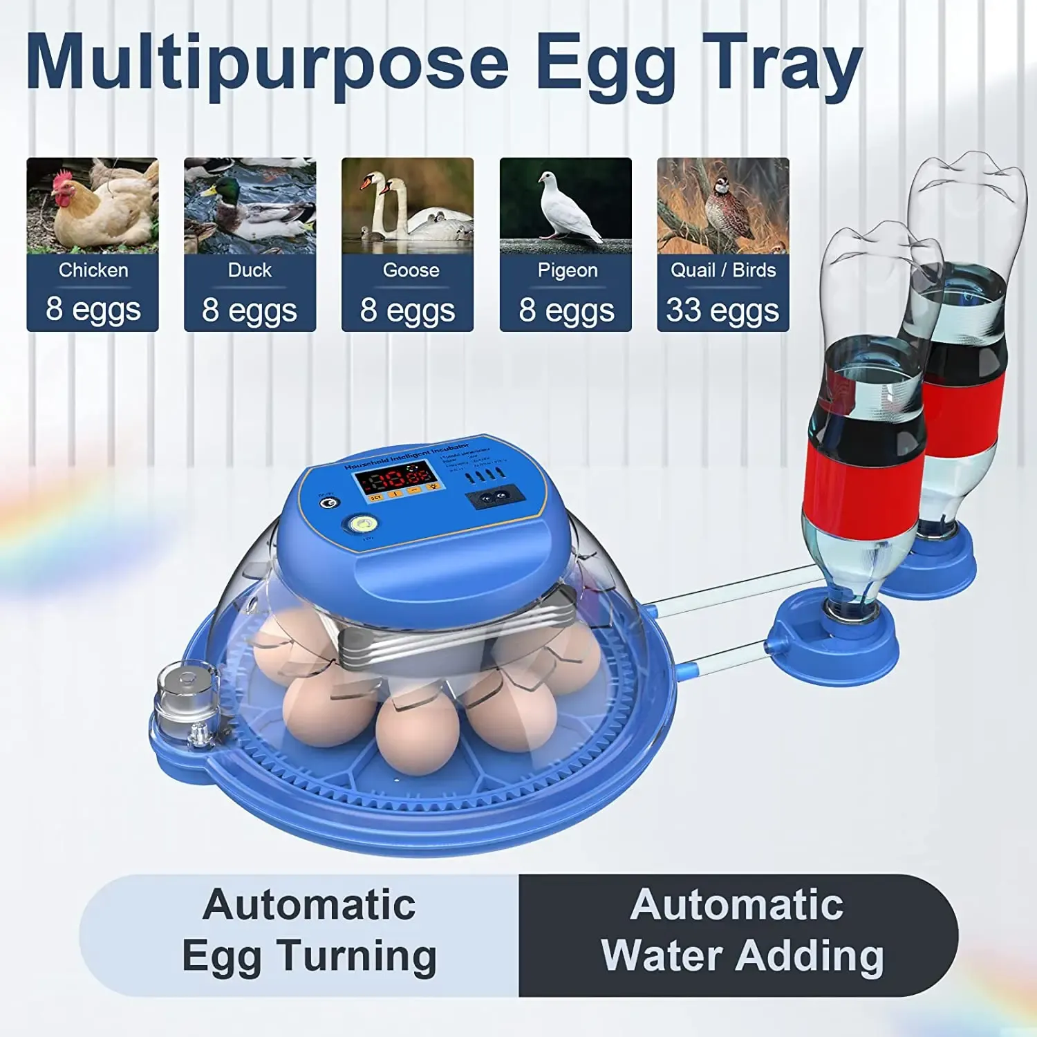 Accessoires 8EGG Trays Incubator Automatisch ei draaien water toevoegen van boerderij gevogelte ei -incubators voor het uitkomen