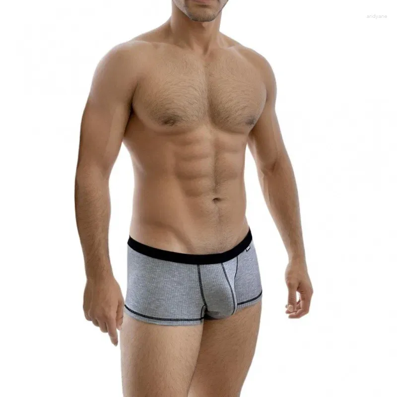 Underpants Männer Unterwäsche Personalisiertes Design Low Taille Trunks Atmungsaktives einschicht u konvexe Beutelboxer Pack für Männer