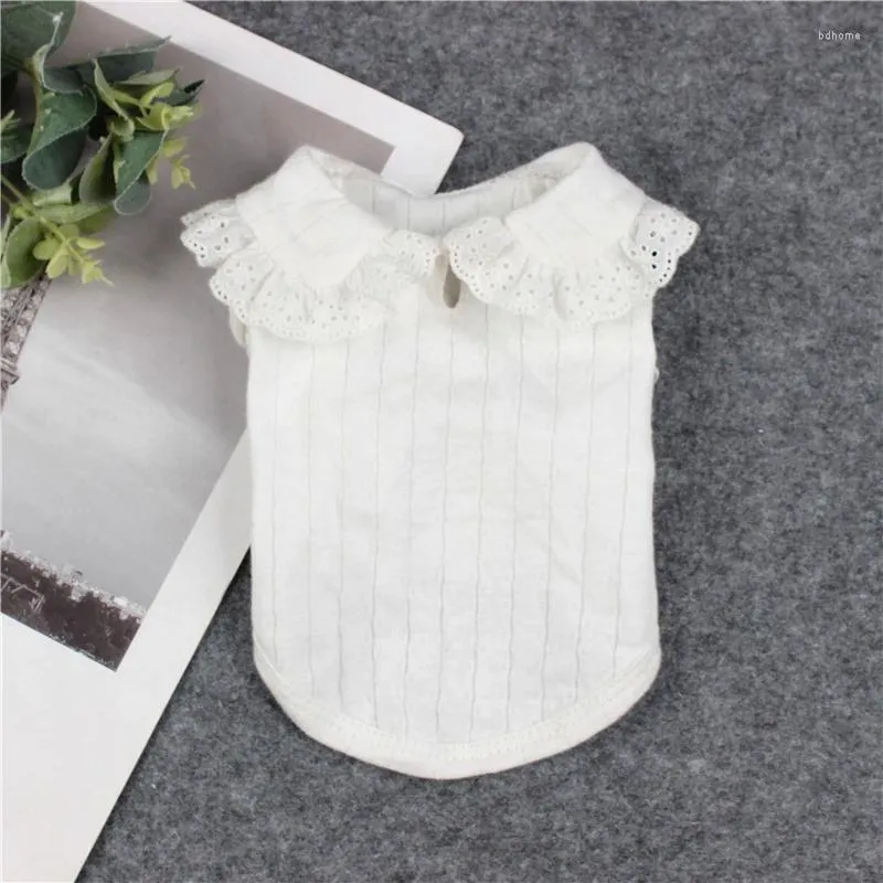 Dog Apparel Pet Clothes White Doll Collar Bottoming Shirt For Dogs Clothing Cat Small Spring Autumn Fashion Chihuahua Products 2024