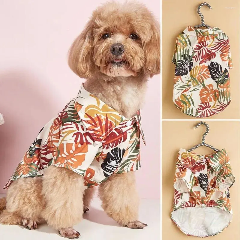 Vêtements de paume de paume pour chiens élégantes de conception de bouton confortable de conception