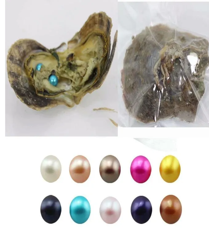 Double Pearls 30 Colori 67mm Twin Pearls in Oysters d'acqua salata Akoya Oysters Dty Gioielli che producono regali per Lover1184535