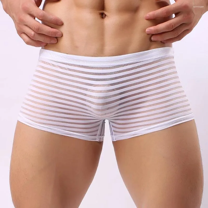 Sous les calendriers Men's Sexy See Through Samless Boxer Briefs Low Wison Sous -wear Shorts Trunks SémitRansparent Hollow Lingerie