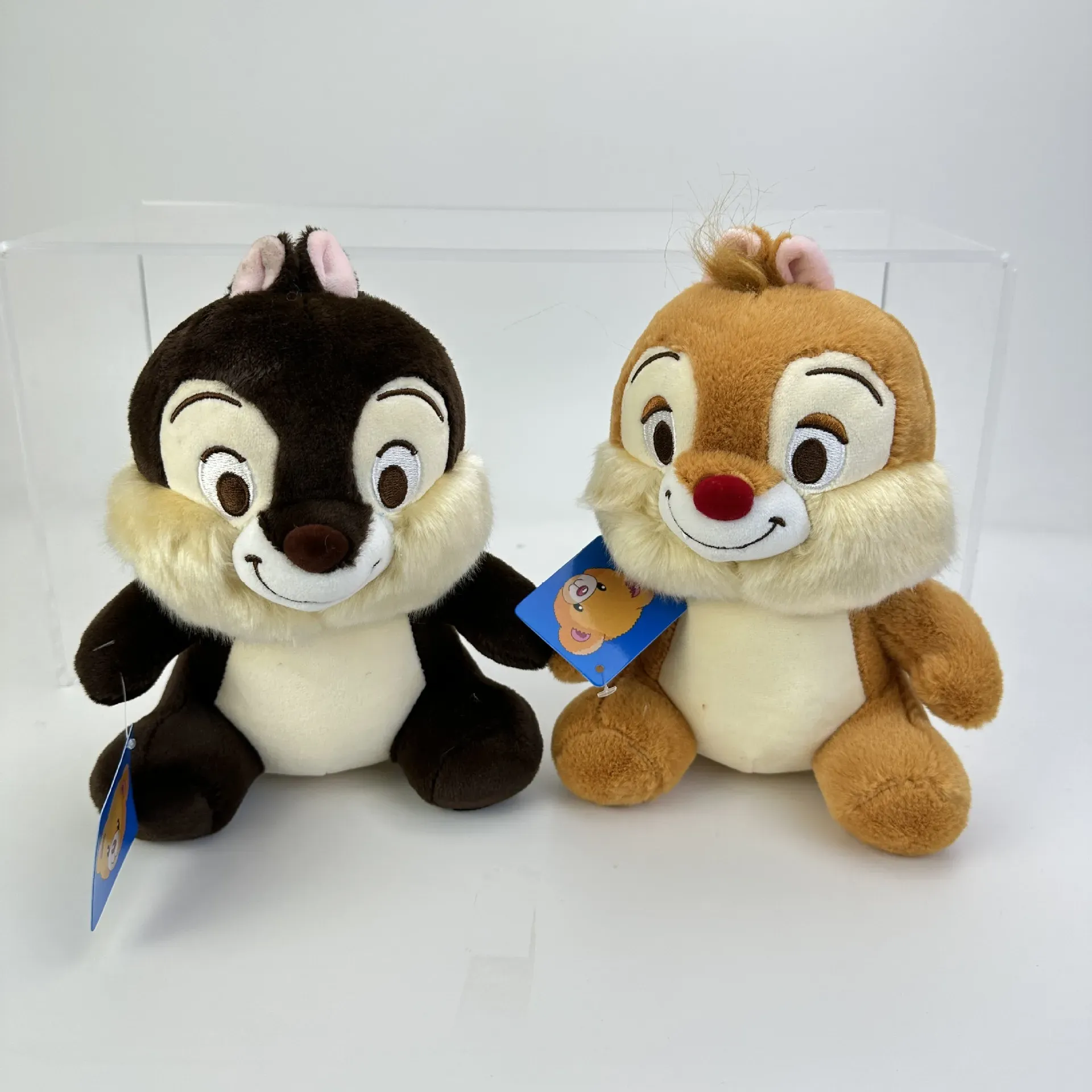 Neue 20 cm kuschelige Eichhörnchen Plüschspielzeug Soft Doll Game Playmate Geschenkdisplay -Spielpreise