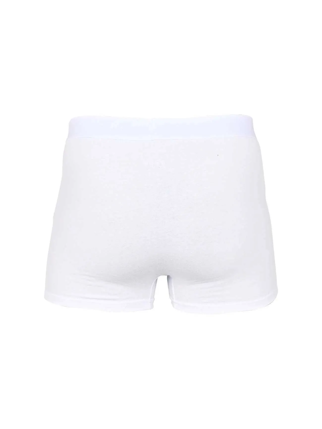 Calzoncillos de PACK WHITE 2024 Men bragas de poliéster Underwear Boxer de marca masculina y calzoncillos para Homme Luxury Set Shorts Box Slip Kit Y240507