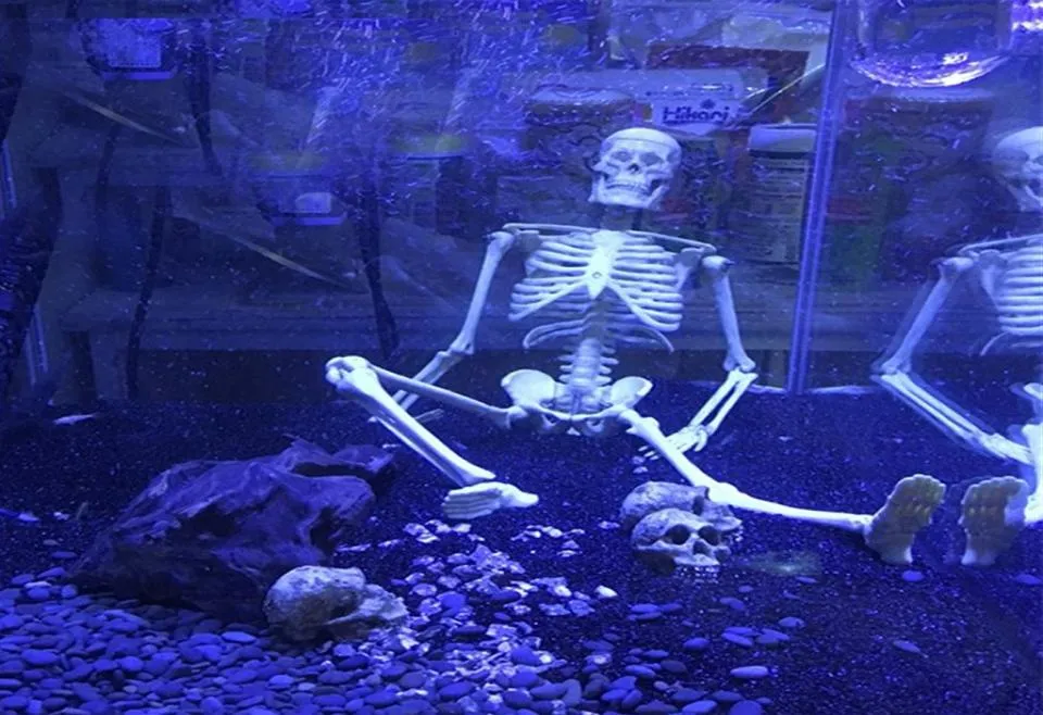 1PCS Aquário Squeleto humano Resina de peixe Skull Skull Skleleton Resina Ornamento Tanque de peixes de peixes Aquário Decoração de aquário C1115303Y2719344