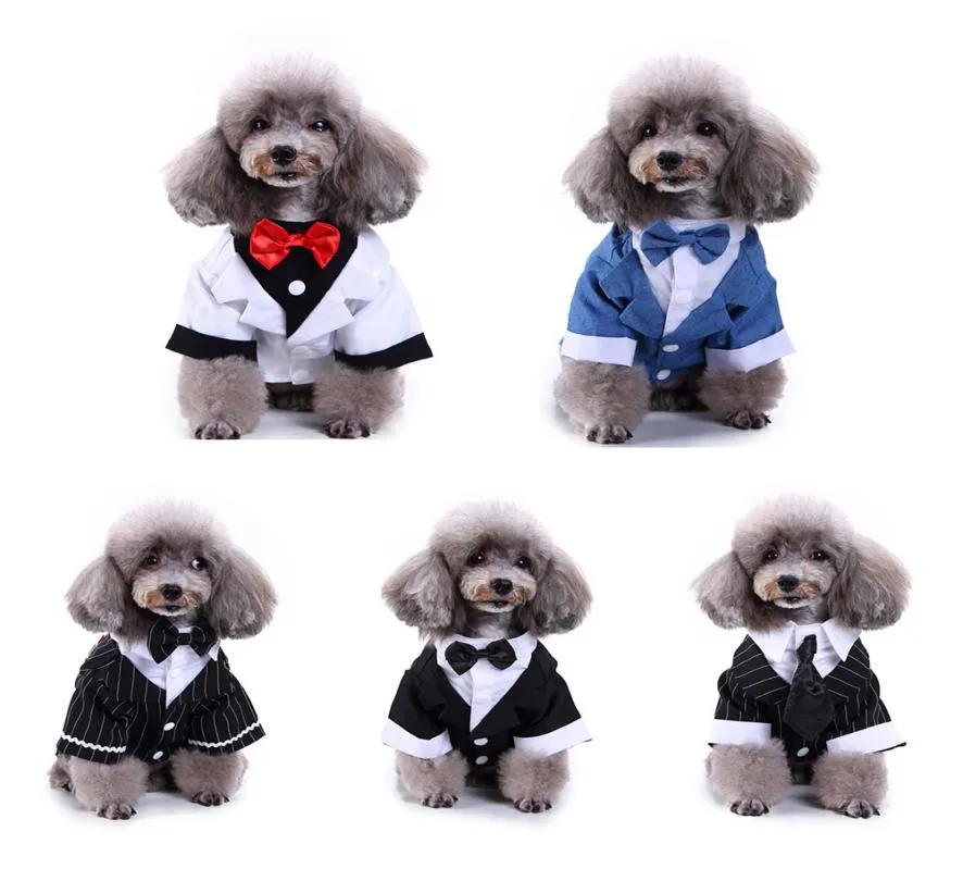 Gentleman Pet Clothes Dog Suit Smoking Tuxedo Bo Spied Mariage Robe formelle pour chiens Halloween Christmas Cat Costume drôle 29664116