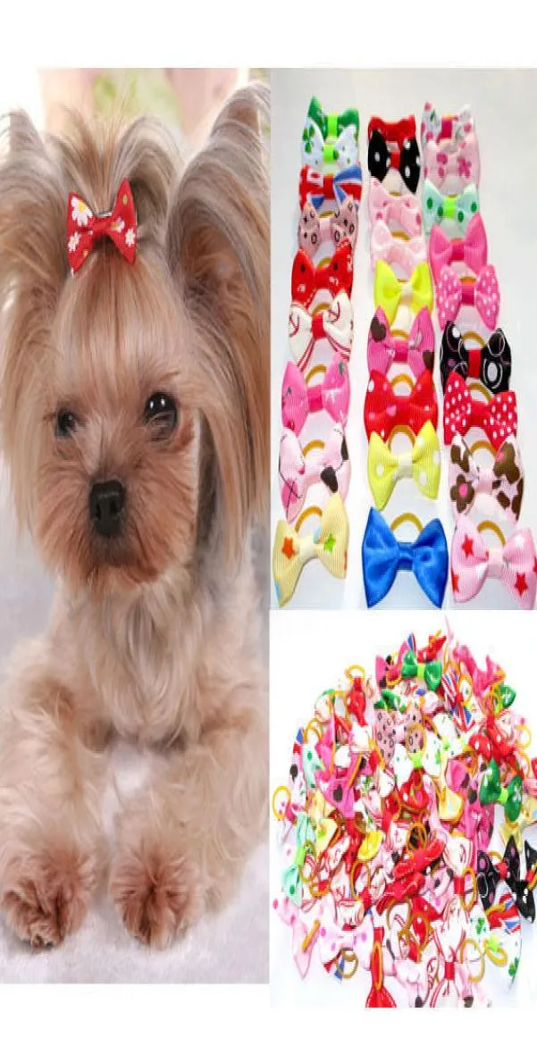 200pcslot diverse pet Cat Dog Hair Bows met rubberen bands verzorgen accessoires schattig huisdierhoofdkleding voor kleine honden4988003