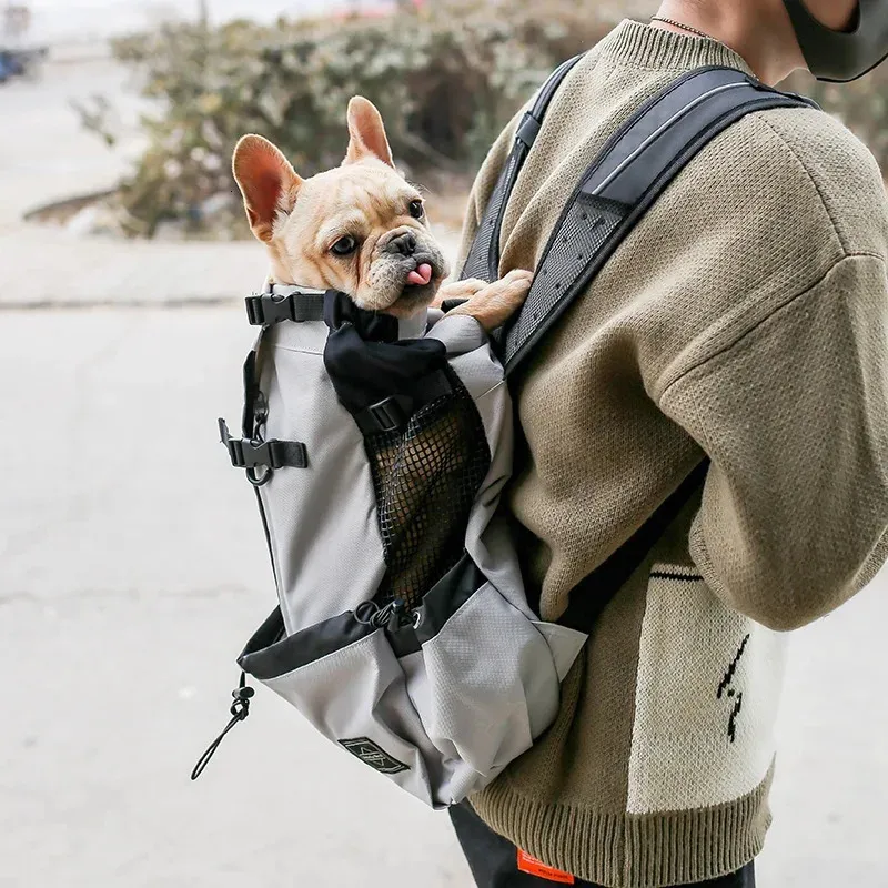 Puppy de voyage en plein air sac à dos de chien moyen pour les petits chiens respirants à pied des sacs de bulldog français accessoires pour animaux de compagnie 240422