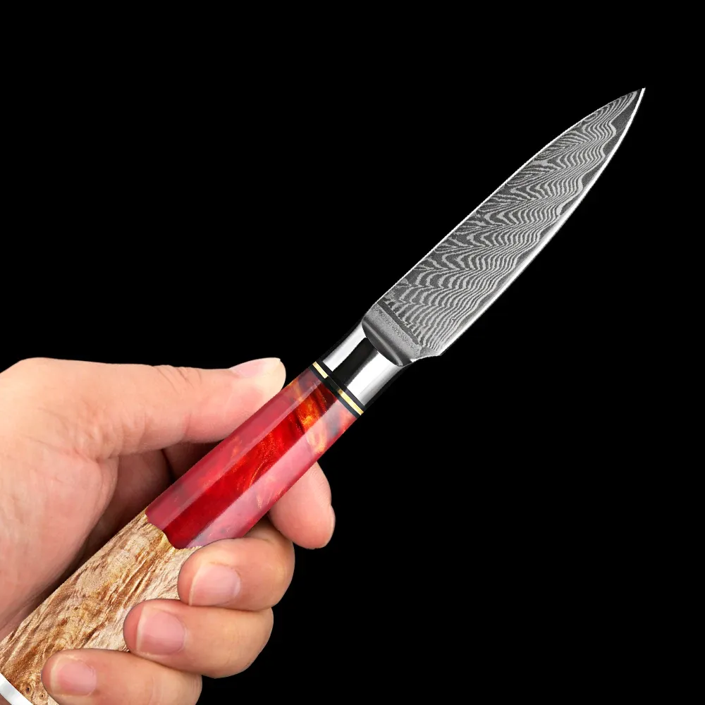 Cuchillo de salen de 3.5 pulgadas Damasco VG10 Core de acero Cuchillo de fruta ultra afilada 67 capas Patrón clásico Red Red Resina Madera estabilizada