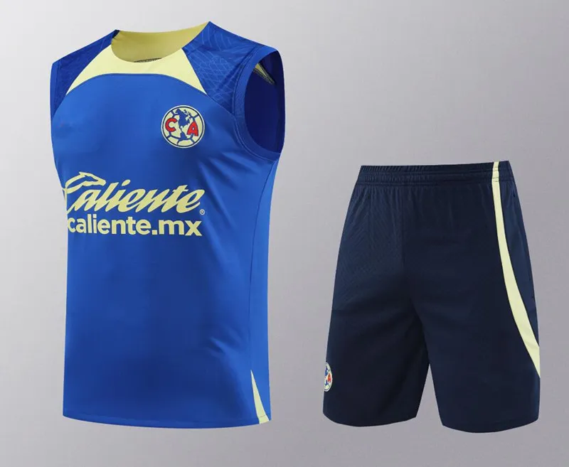 Club america training jersey 2018 online