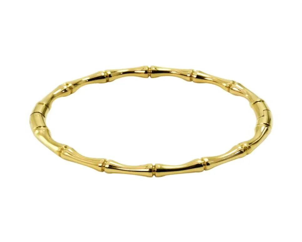 Bangles in acciaio inossidabile da donna039s popolare Dubai femmina Braccialetti di bambù ciondoli per gioielli africani Regali di Natale femminile Weddin8867846