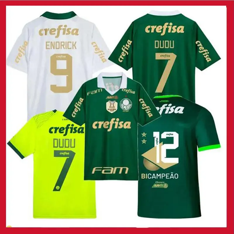 Palmeira soccer jerseys 2024 2025 DUDU ENDRICK RONY Palmeira football shirts G.GOMEZ G.MENINO GIOVANI R.VEIGA jersey 24 25 player version S-2XL Training clothing