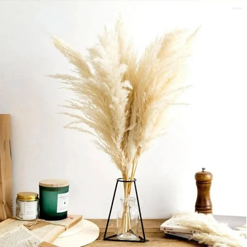 Dekorativa blommor höga fluffiga pampas gräs 60 cm grädde torr pompous dekor bröllop hem blomma boho utomhus naturlig pompas bukett