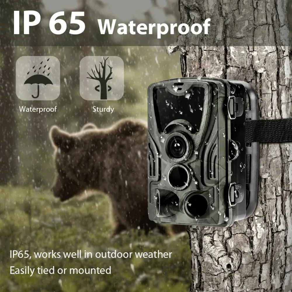 Caméra de chasse Wild Trail Cameras HC801A 16MP 1080P IP65 PO POT TRAP WILDLIFE Surveillance Cams Scout Tracking 240428