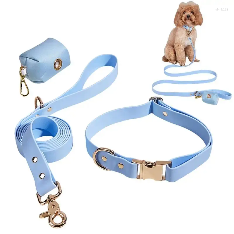 Colliers pour chiens collier de compagnie et plomb ensemble de combo portable pour les petits animaux de compagnie chiens
