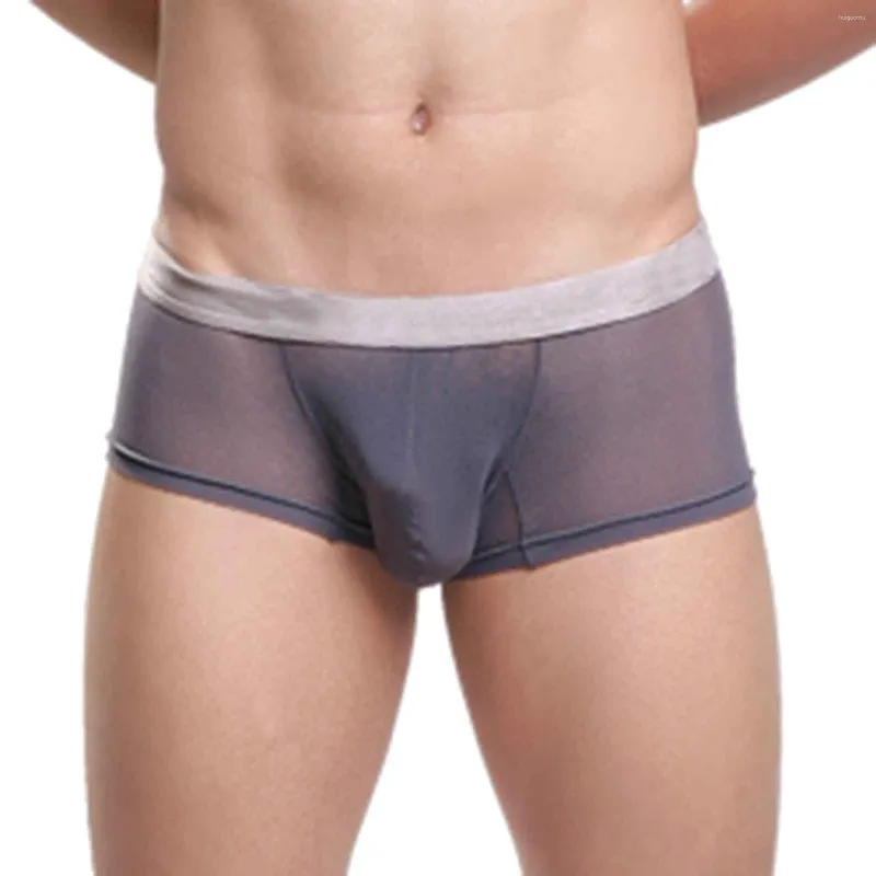 Underpants Herren sexy Unterwäsche durch Bag Mesh transparent Tüll flach Angle Herren cool