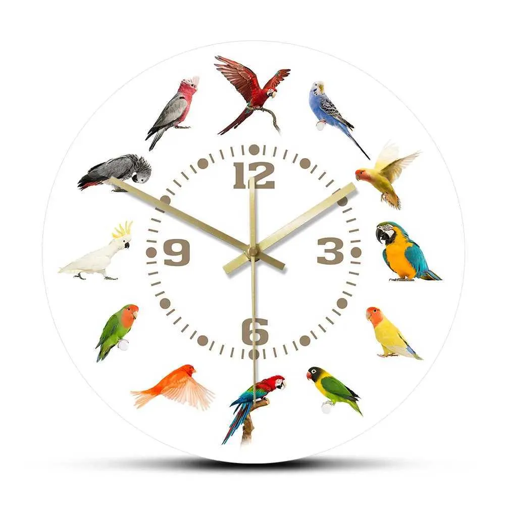 Collezione di orologi da parete di specie di uccelli moderni senza zecche orologio per pappagalli per l'amante dell'arte esotica decorazione q240509