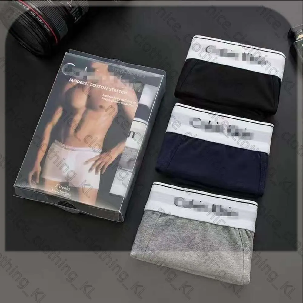 3PCS / Set Sexy Men Underwear Boxers for Men Cotton Underpants Brand Brand Designer Mens Underwear Calvins Boxer Plusieurs couleurs Soufflement respirant 245