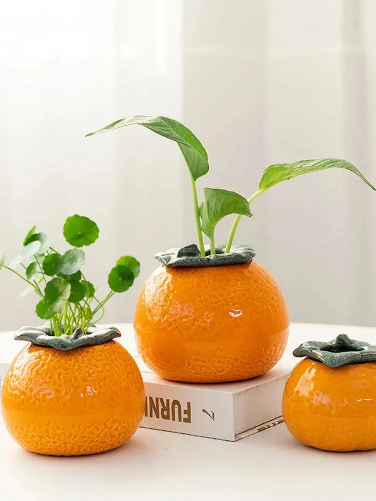 Créatif Orange Hydroponic Vase Succulent Flower Pot Bureau Décoration de bureau