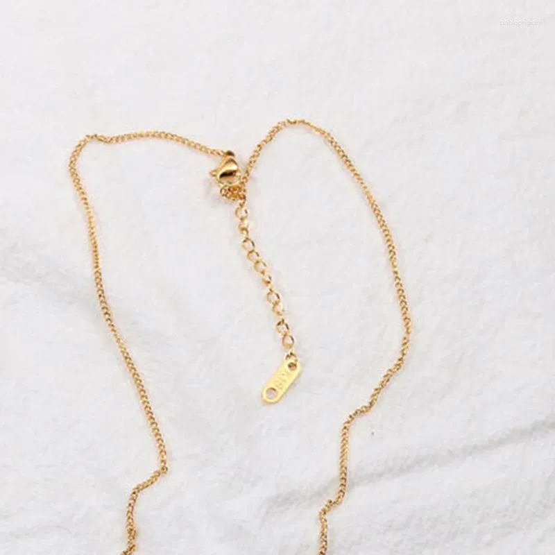 Collane con ciondolo Collana con cuore in corniola rossa per donna Acciaio inossidabile Pietra naturale Semplice tendenza minimalista_voghion.com