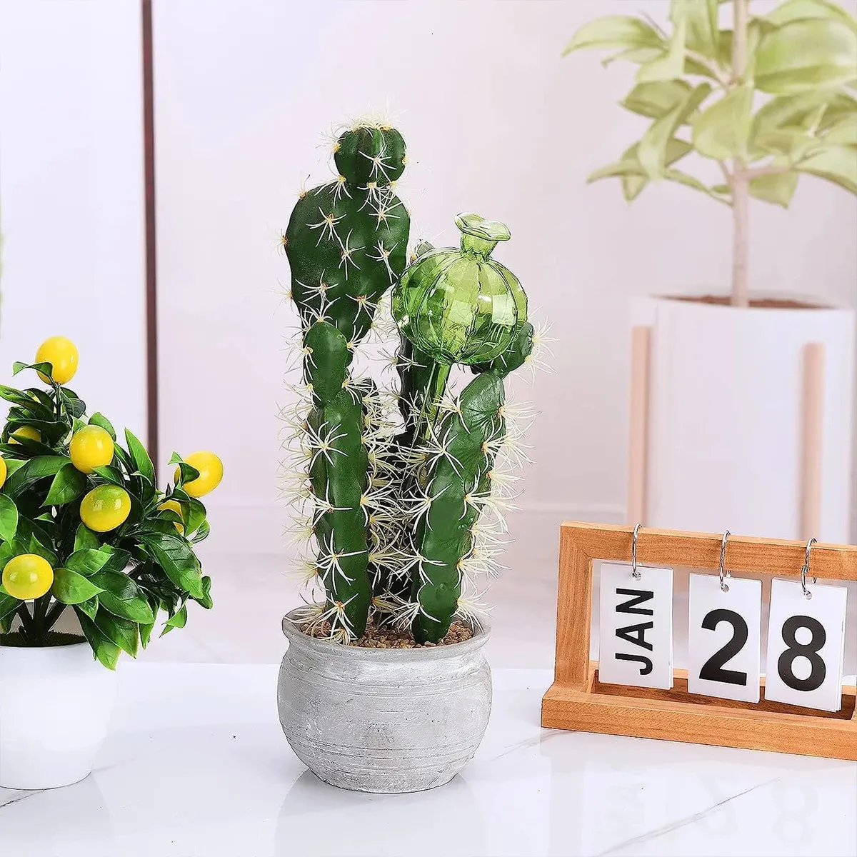Aazon.co: Saiasl Plant Watering Globes,12PCS Plastic Self Watering