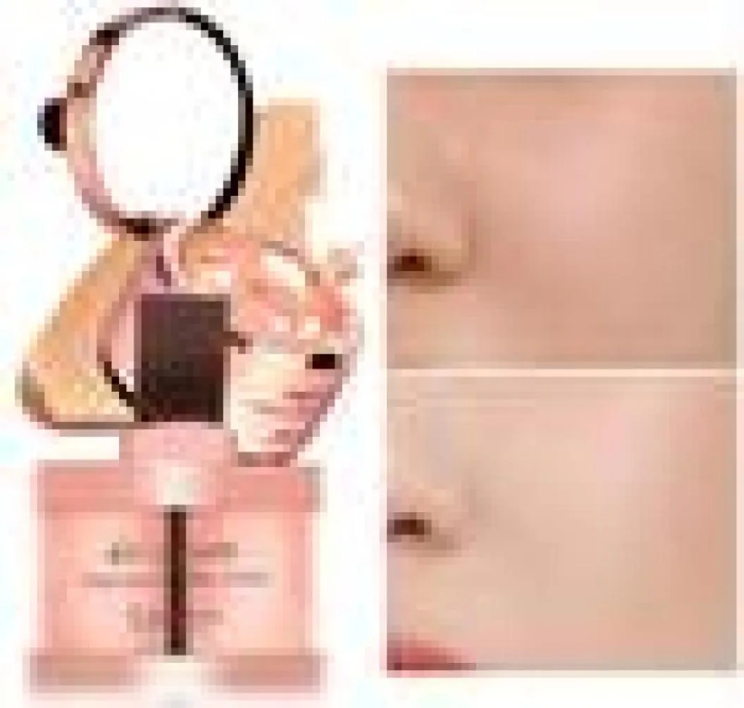 Nouvelle Essence Foundation Cream Correcteur Hydrating BB Cream Makeup Bare for Face Beauty Base Makeup Livraison gratuite2132110