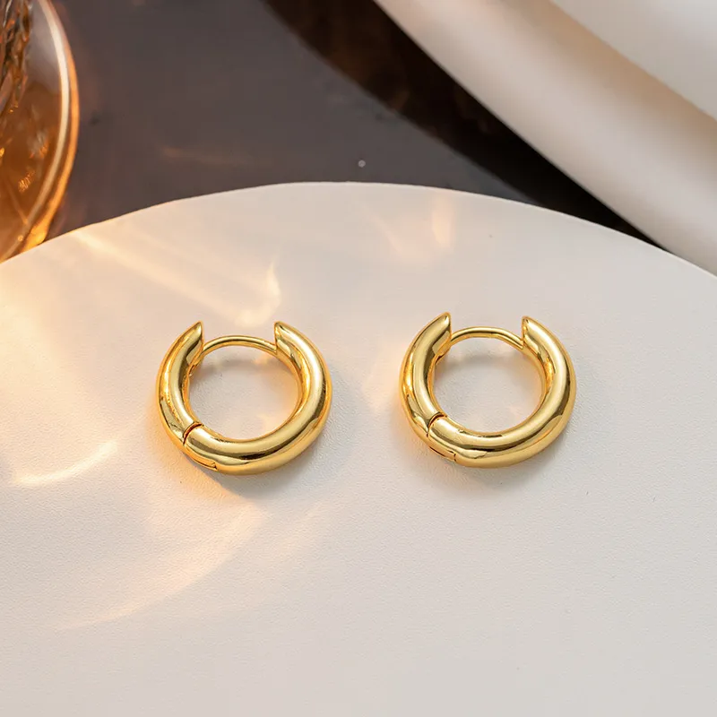 Hoop oorbellen voor vrouwen geometrische cirkel punkoor sieraden mode studs verlovingsgeschenken