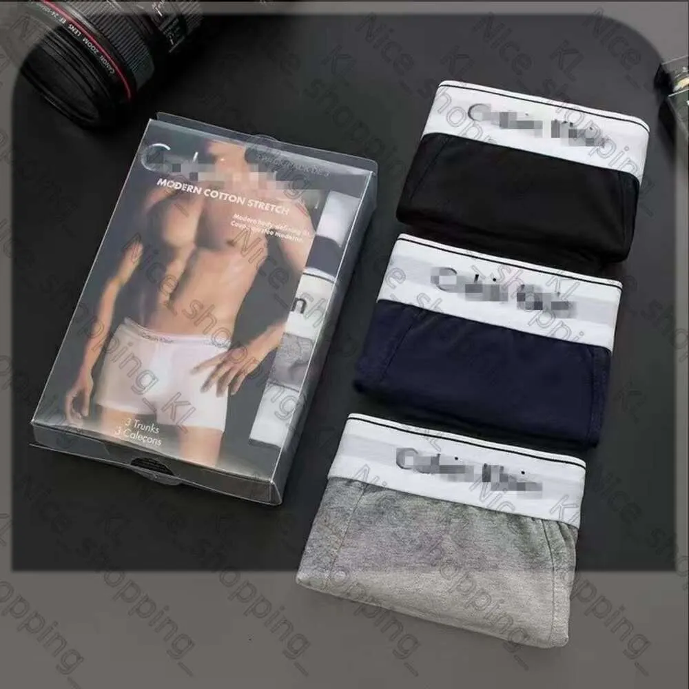 3PCS / Set Sexy Men Underwear Boxers for Men Cotton Underpants Brand Brand Designer Mens Underwear Calvins Boxer Plusieurs couleurs Soufflement respirant 380