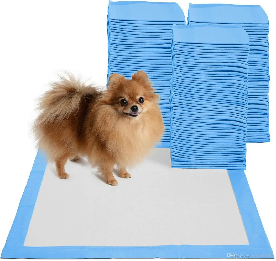 Papt Treination Pee Pad Pad para um odor absorvente descartável para cães, reduzindo 150 MATS4854532