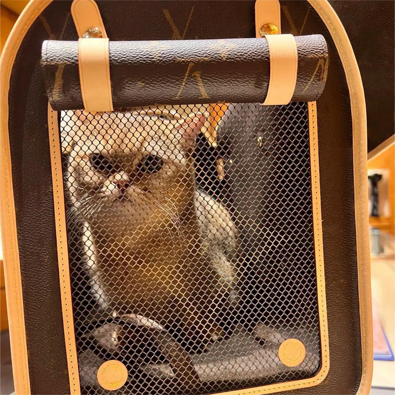 Save Big on Bulk Designer Pet Carrier Bags Luxury Pet Carrier Bags Designer  Pet Carrier Genuine Leather Pet Outgoing Bag Teddy Aviation Bag Web Window 