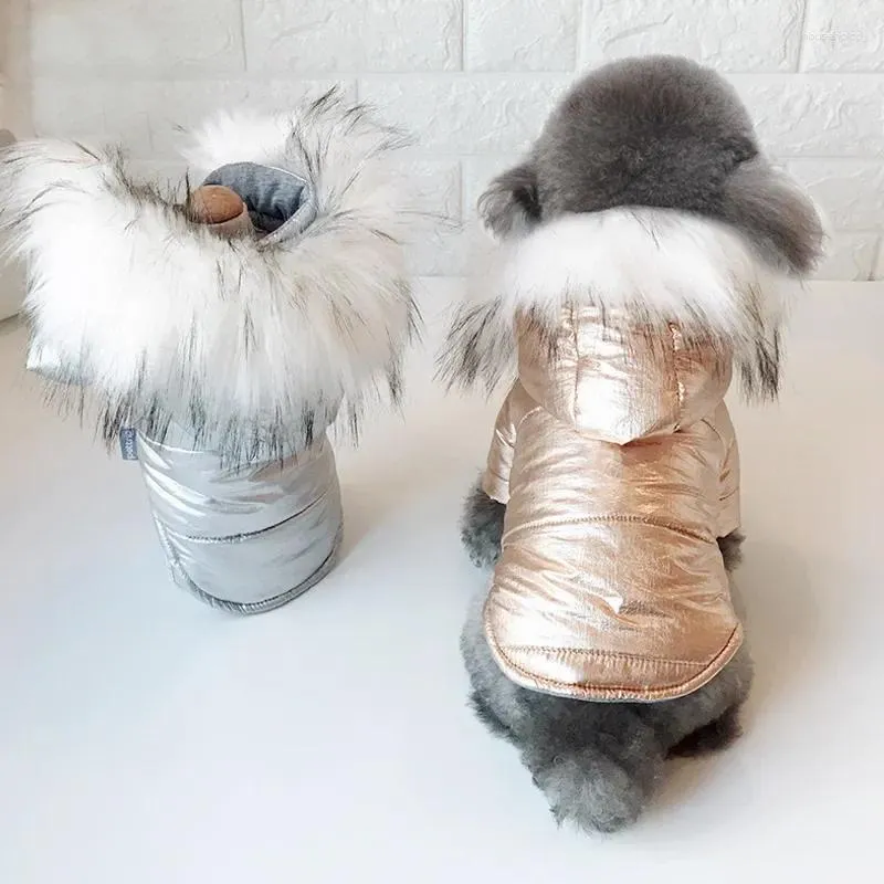 Vestuário para cães roupas de estimação quentes para o outono e um pelúcia de pelúcia de algodão de algodão pomeraniano
