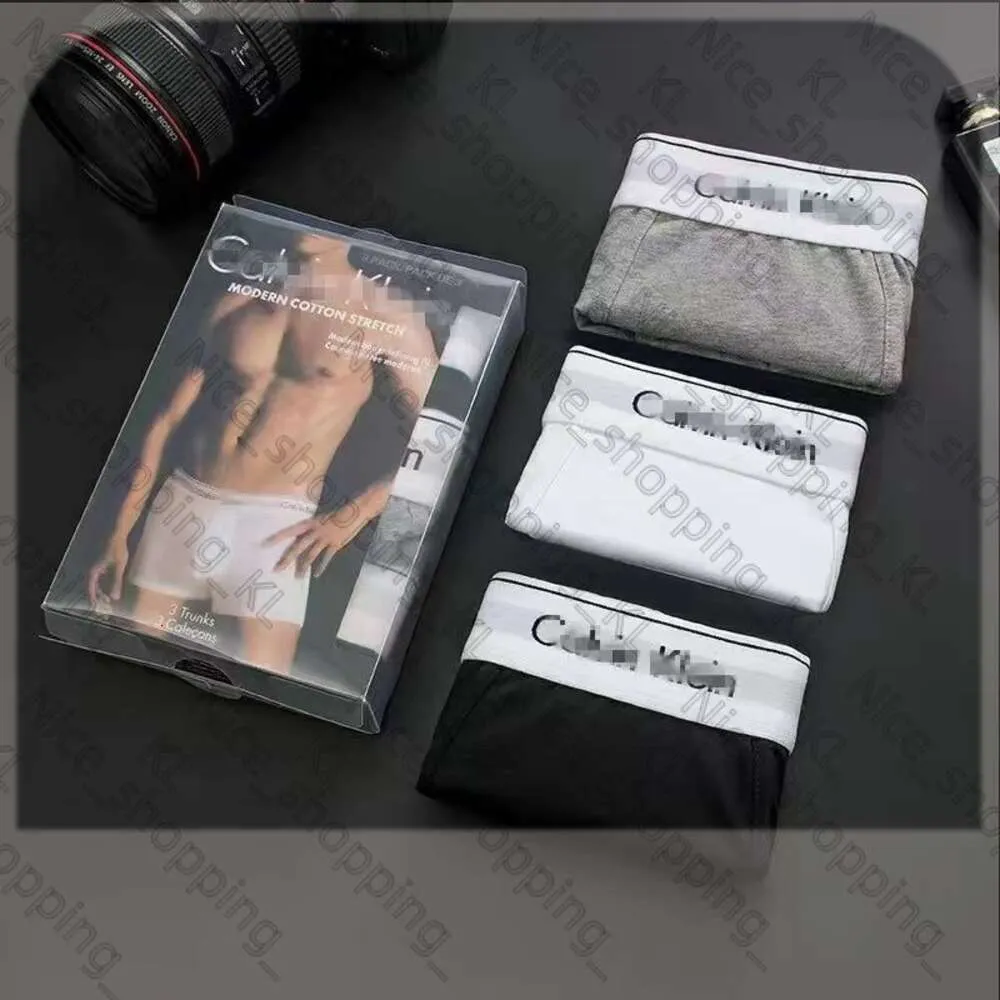 3PCS / Set Sexy Men Underwear Boxers for Men Cotton Underpants Brand Brand Designer Mens Underwear Calvins Boxer Plusieurs couleurs Soufflement respirant 183