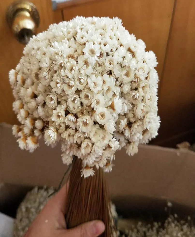 30pcs Decoraitve getrocknete Blume Mini Daisy Star Blumenstrauß natürliche Pflanzen kleiner Blumen für Hochzeit DIY Home Dekoration2981936