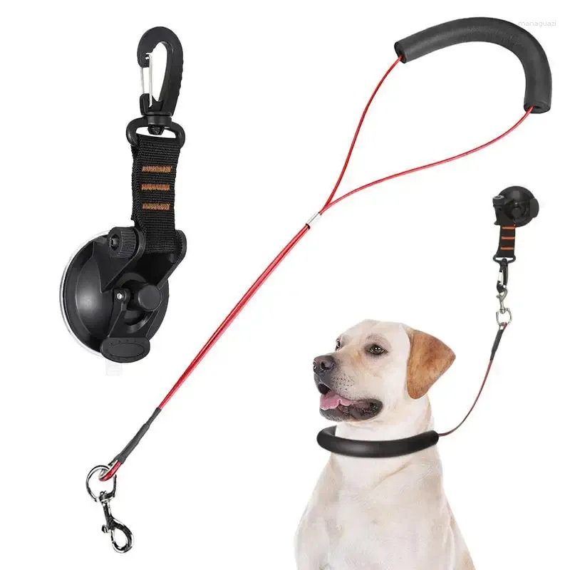 Colliers de chien baignade Tether réglable Puppy baignoire retenue laisse le cisaillement de l'animal et la coulée de traction de traction séchée avec boucle pour chat