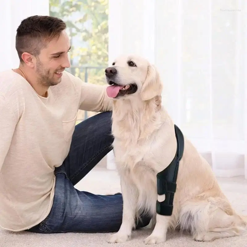 Hondenkleding achterbeen brace knie verstelbare huisdier ondersteuning achterpoten beschermer honden letsel herstelbenodigdheden