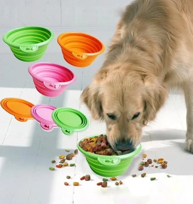 Bol à chiens de chien en silicone pliable Couleur de bonbons extérieurs Puppy Doogie Food Container Feeder Dish8245332