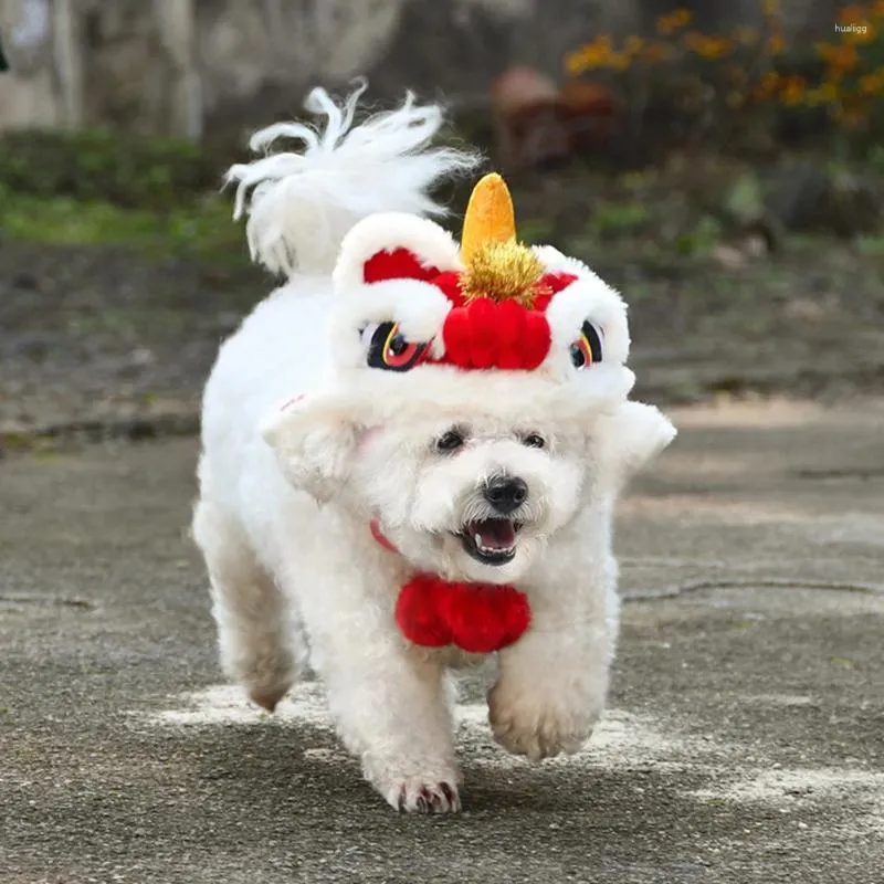 Abbigliamento per cani ANNO CINETTO CHE PET LION DANCE TACCHIO CALDO FINER FACCHE MORD COMETTO CANTENE CANTI CATTI COSTUTTO DA CANI PER PROVI POS HASTIONE