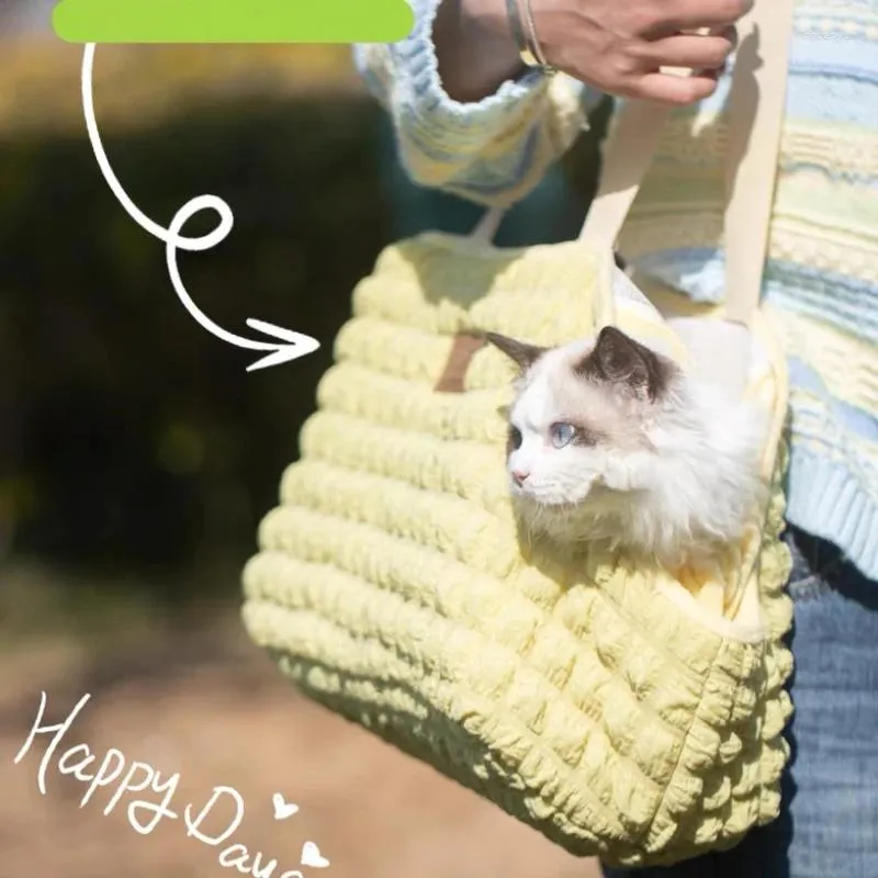 Cat Carriers 2024 Style Pet Carrier For Cats Dog Waffler Kitten Puppy Bag Travel Leverancier Accessoires