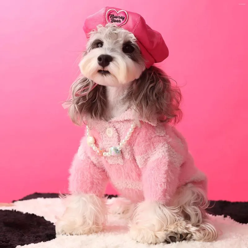 Roupas de vestuário de cachorro outono e inverno pomeranian schnauzer maltese corpo pequeno do que o suéter listrado de bordado de lapela do urso