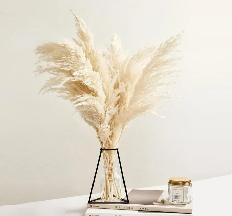 Pampas Decor d'herbe Couleur blanche Fluffy Fleurs séchées naturelles Bouquet blanchi Boho Style vintage pour le mariage Home Christmas Decor4078500