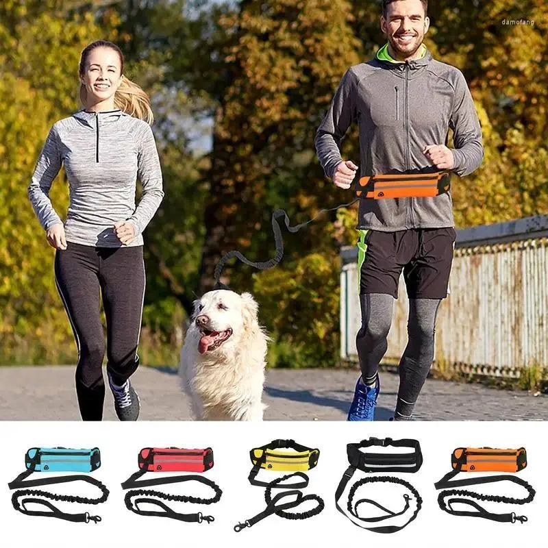 Colliers de chien Courronnerie gratuite pour la marche à pied réglable avec un sac de taille