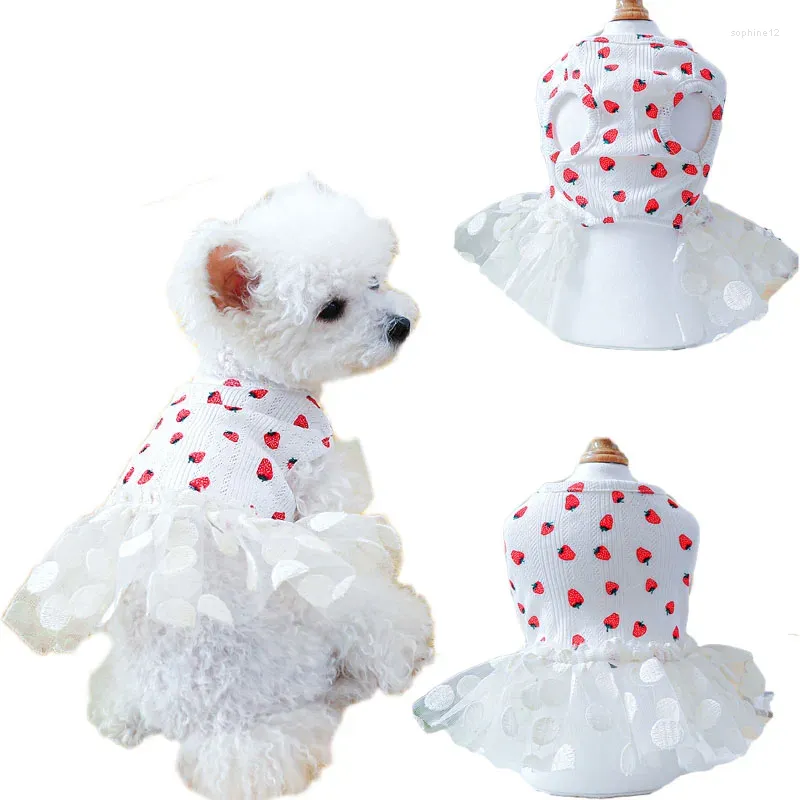 Appareils pour chiens Patché à fraise robe blanc veste vêtements pour animaux de compagnie en tulle filles chat prol sans manches swets à capuche
