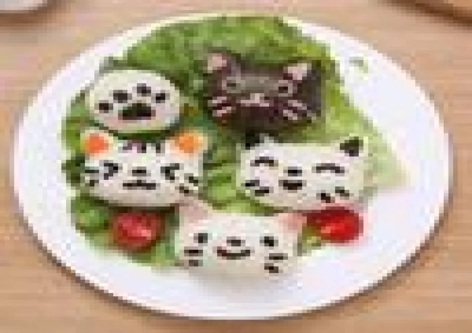 4pcSset diy mignon de chat de chat moule de riz moule bento fabricant sandwich cutter riz balle moule décoration outils de cuisine 6542500