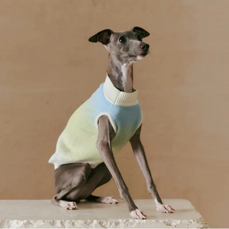 Frühlings -Herbst -Haustier -Pullover Luxus Hundekleidung Schnauzer Whitbit Greyhound Welpen Kleidung Hunde Accessoires Designer Haustierkleidung 240511