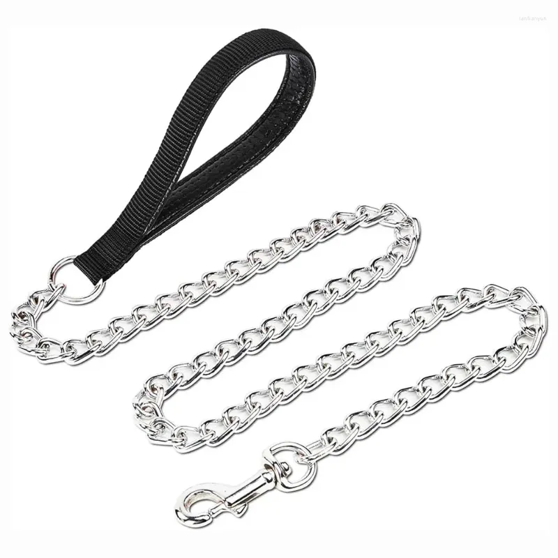 Chain leash for small dog hot sale