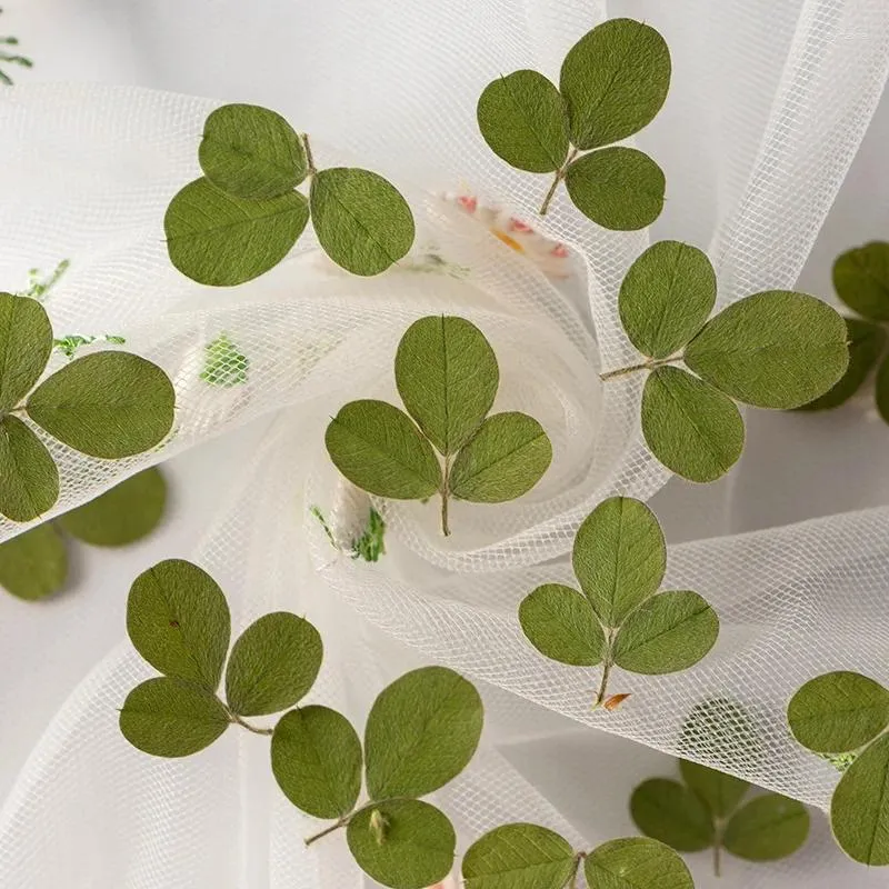 Decorative Flowers 60pcs Pressed Dried Flower Shamrock Clover Leaf Herbarium For Epoxy Resin Jewelry Making Bookmark Face Makeup Nail Art