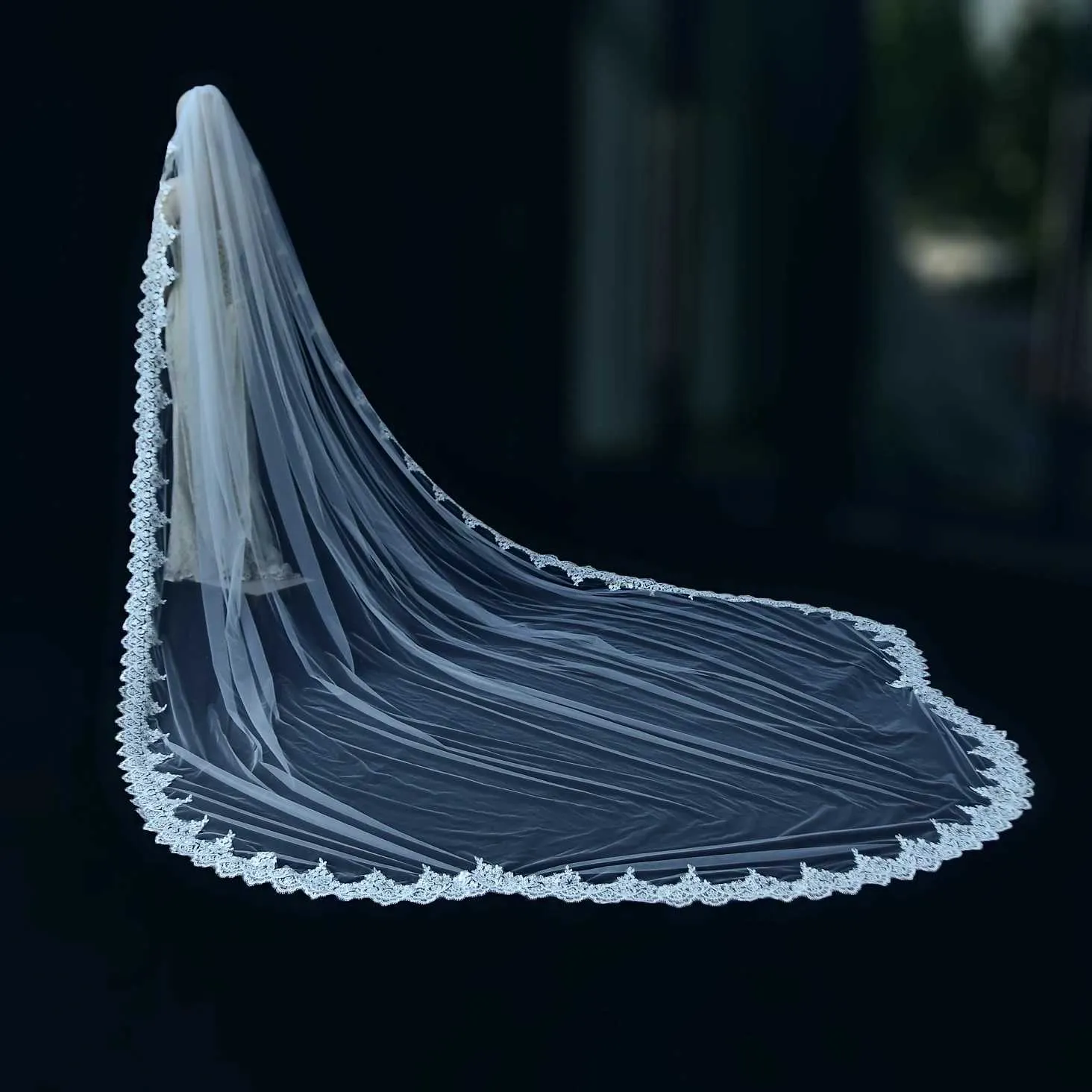 Hair Jewelry V152 Wide Veil Long Cathedral Bridal Veils 1 Tier 3M Lace Appliques Scalloped Edge Mantilla Tulle Wedding_voghion.com